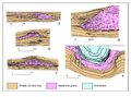 Thumbnail for version as of 20:56, 11 July 2015