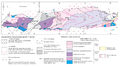 Thumbnail for version as of 19:50, 10 July 2015