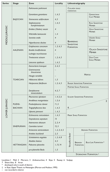 File:P915390.png