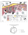 Thumbnail for version as of 20:56, 11 July 2015